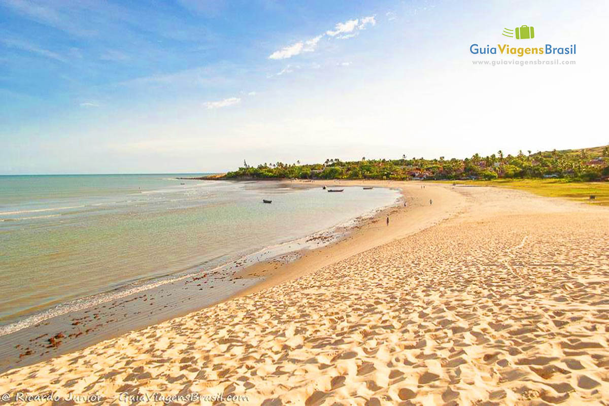 Imagem das areias claras e bela vegetação na Praia de Jericoacoara.